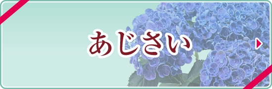 オンライン限定＜あじさい＞