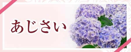 オンライン限定＜あじさい＞