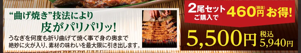 天の蒲2尾