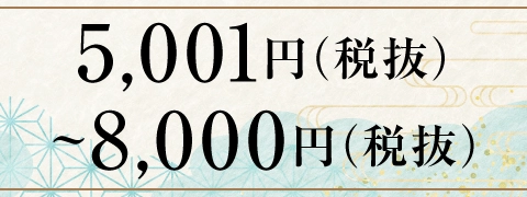 5,001円（税抜）～8,000円（税抜）