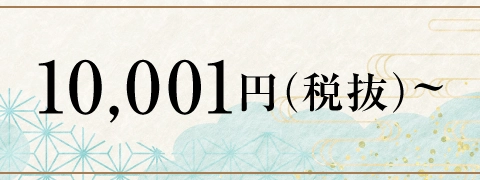 10,001円（税抜）～