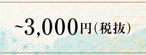 ～3,000円（税抜）