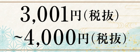 3,001円（税抜）～4,000円（税抜）