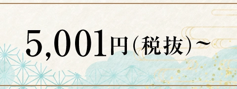 5,001円（税抜）～