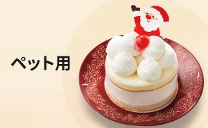 ペット