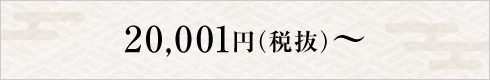 20,001円(税抜)～