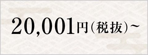 20,001円(税抜)～