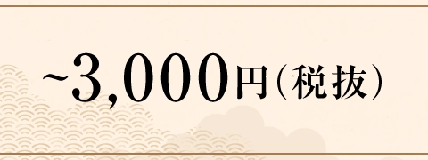 ～3,000円（税抜）