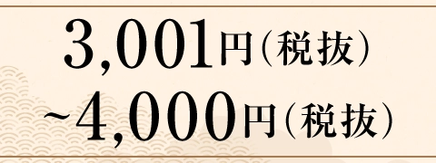 3,001円（税抜）～4,000円（税抜）
