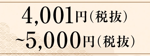 4,001円（税抜）～5,000円（税抜）