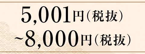5,001円（税抜）～8,000円（税抜）