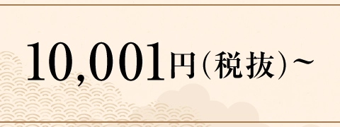 10,001円（税抜）～