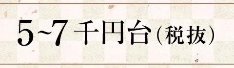 5～7千円台（税抜）