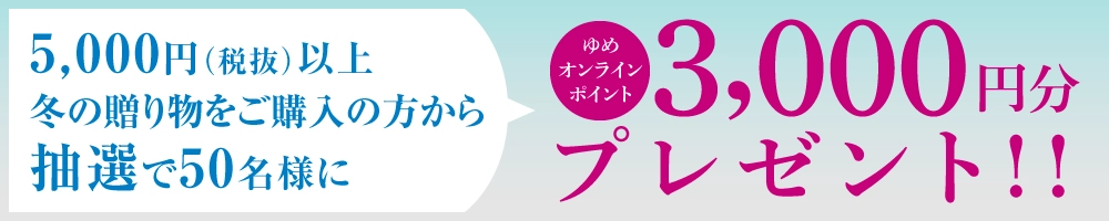 抽選で3000円分のゆめオンラインポイントプレゼント