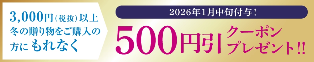 次回使える500円引きクーポンもれなくプレゼント