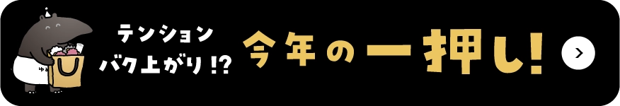 テンションバク上がり！？今年の一押し！