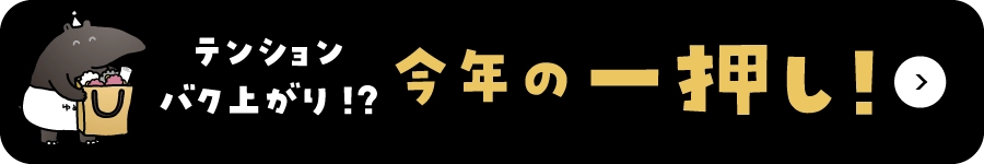 テンションバク上がり！？今年の一押し！