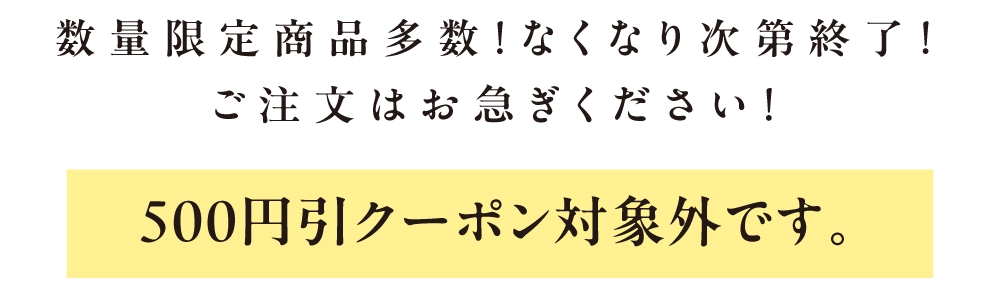 数量限定商品多数！なくなり次第終了！ご注文はお急ぎください！500円引きクーポン対象外です。