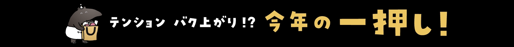テンションバク上がり！？今年の一押し！