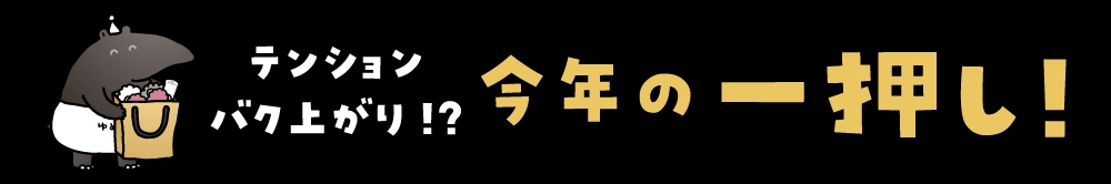 テンションバク上がり！？今年の一押し！