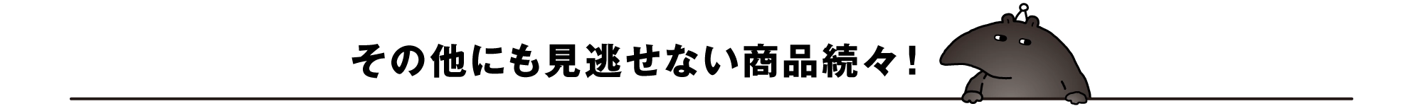 その他にも見逃せない商品続々！