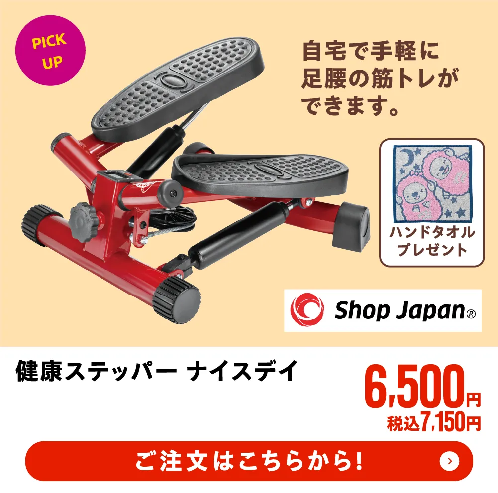 健康ステッパー　ナイスデイ