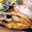 サーモン・鰹 他