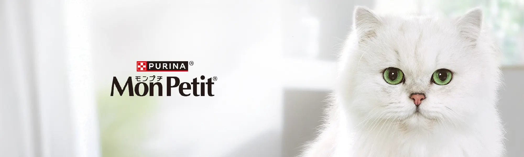 PURINA モンプチ MonPetit