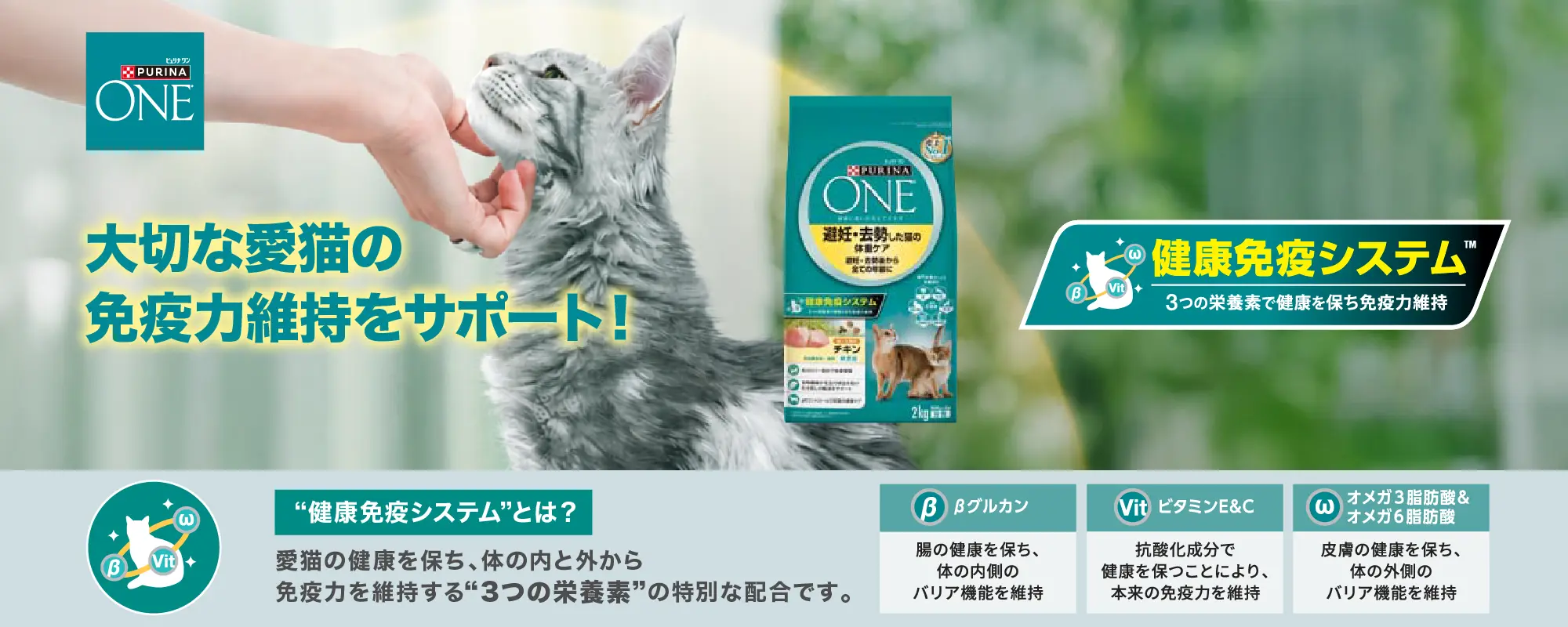 PURINA ONE 大切な愛猫の免疫力維持をサポート！ 健康免疫システム