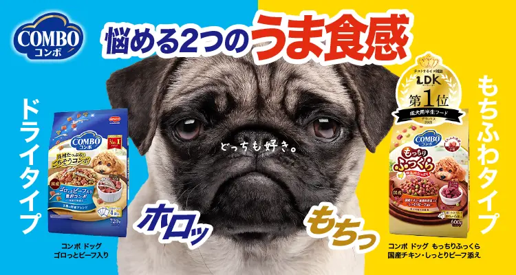 コンボ 悩める2つのうま食感 ドライタイプ もちふわタイプ