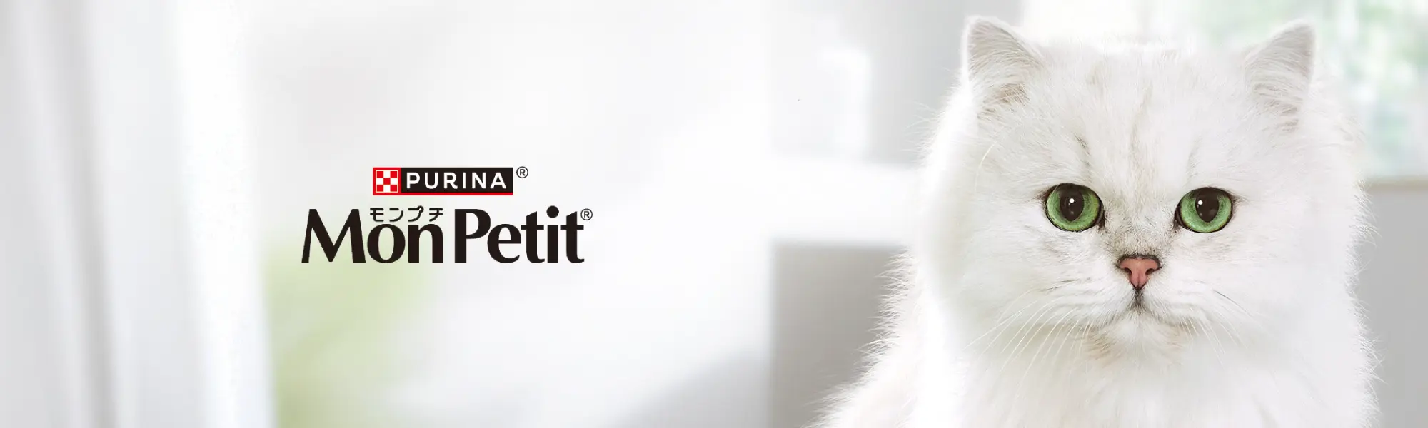 PURINA モンプチ MonPetit
