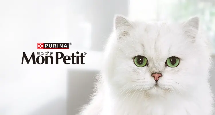 PURINA モンプチ MonPetit
