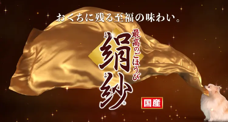 おくちに残る私服の味わい。最高のごほうび 絹紗