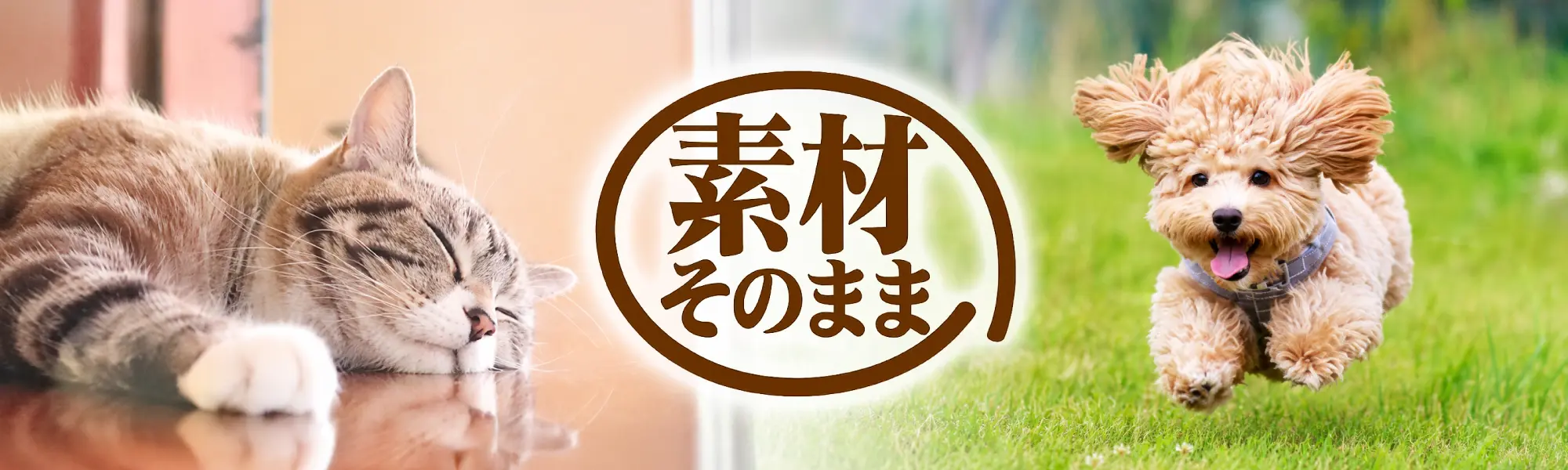 素材そのまま