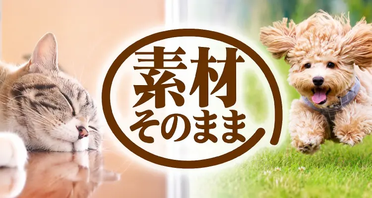 素材そのまま