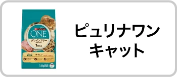 ピュナリワンキャット