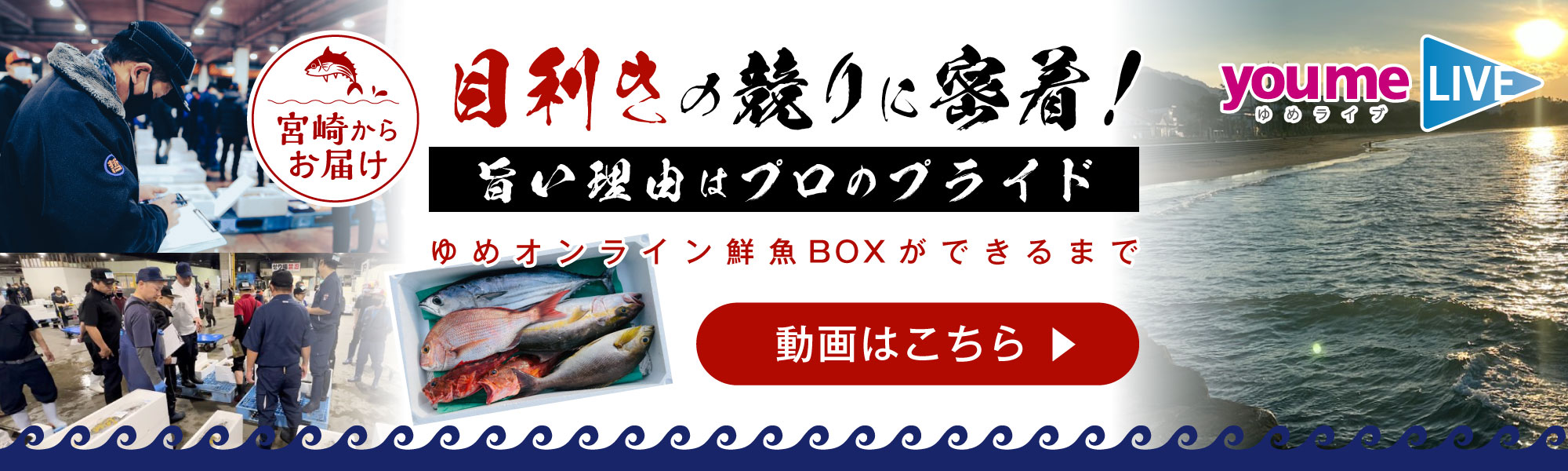 ゆめライブ_鮮魚詰め合わせBOX