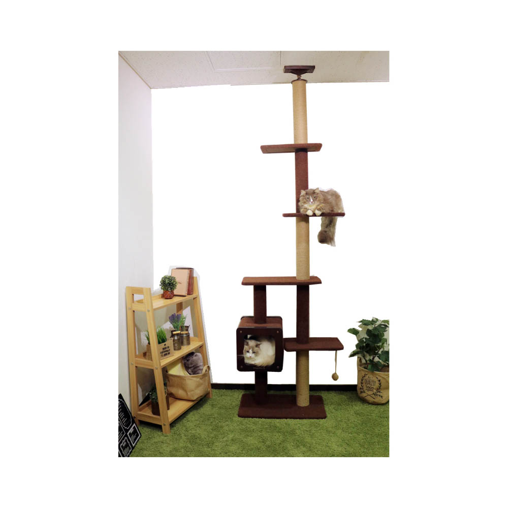 キャティーマン モダンルームスクラッチタワーシングル