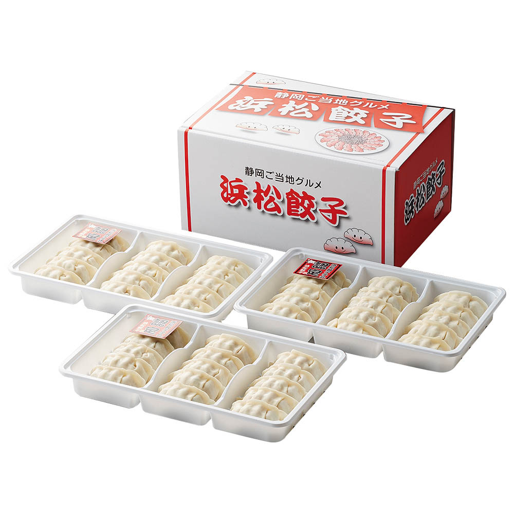 【送料込み】静岡 浜松餃子