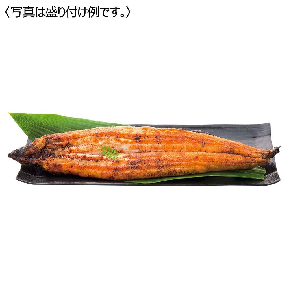 龍川魚商店 九州産 備長炭炭火手焼き白焼き