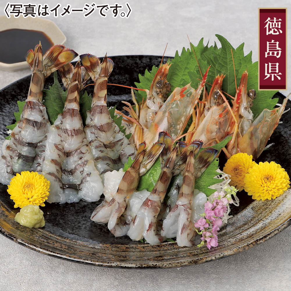 <鳴門クルマエビ>お刺身OK!!うず潮車えび(養殖・冷凍)