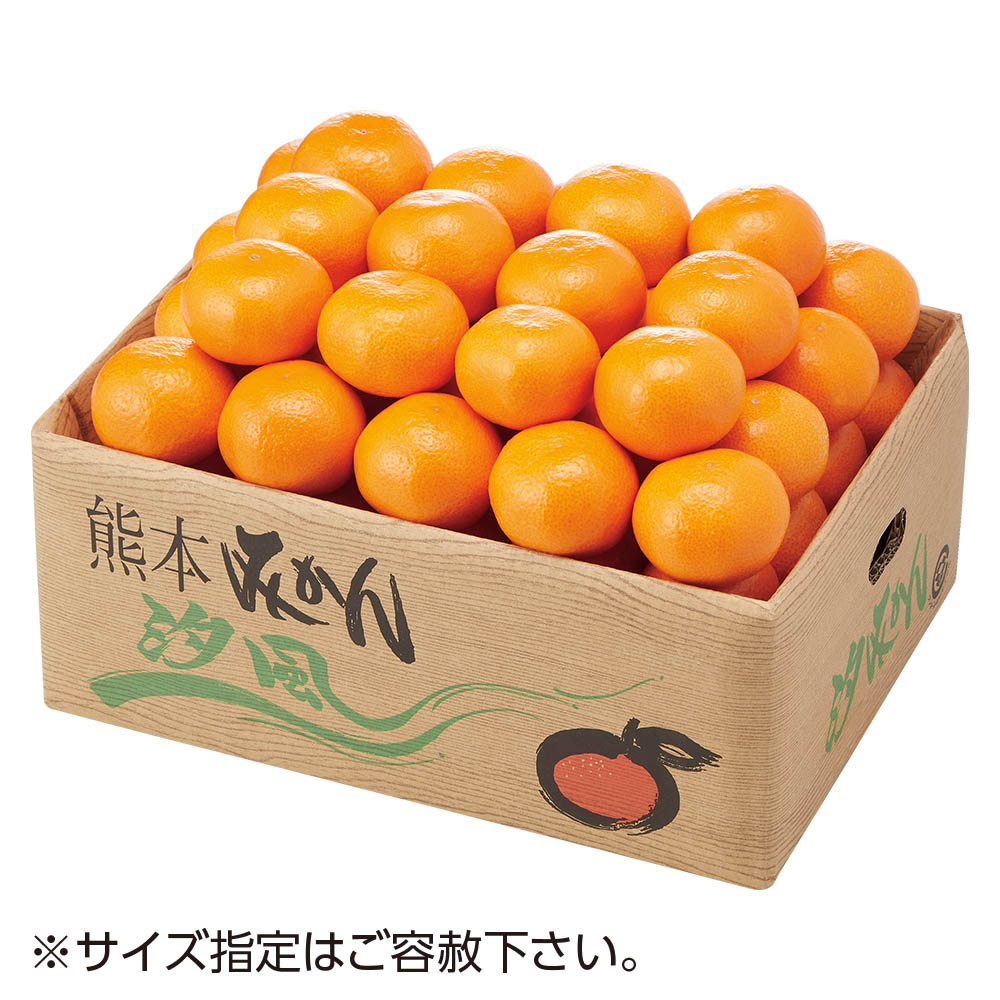 熊本県産 手詰め汐みかん