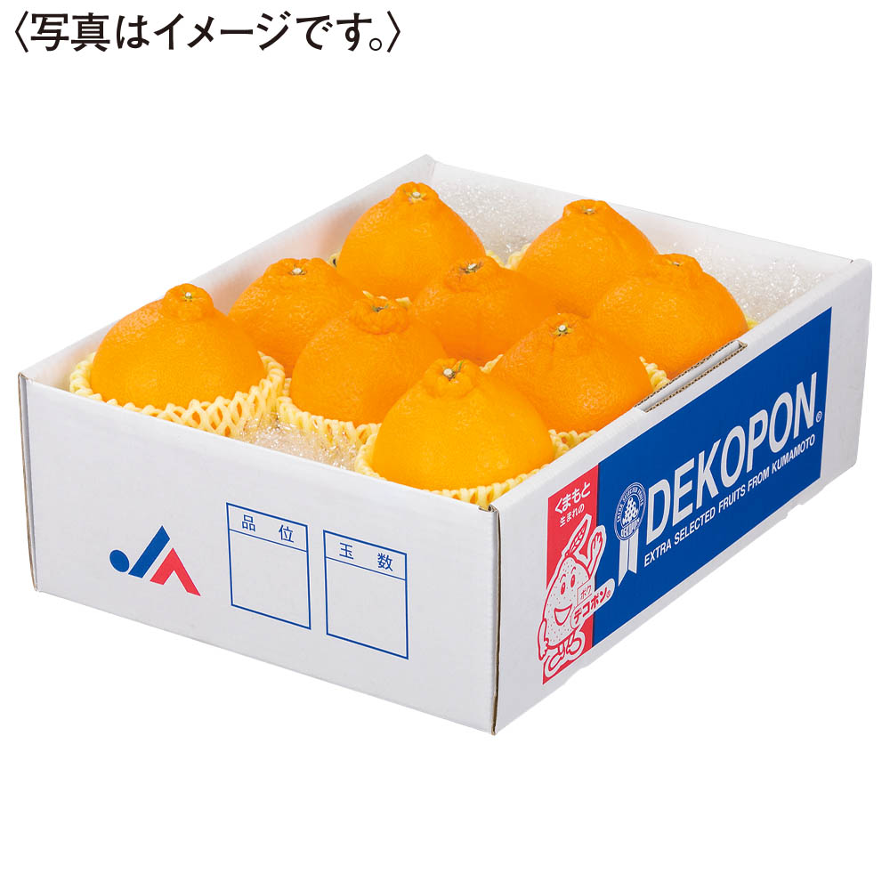 熊本県産 デコポン