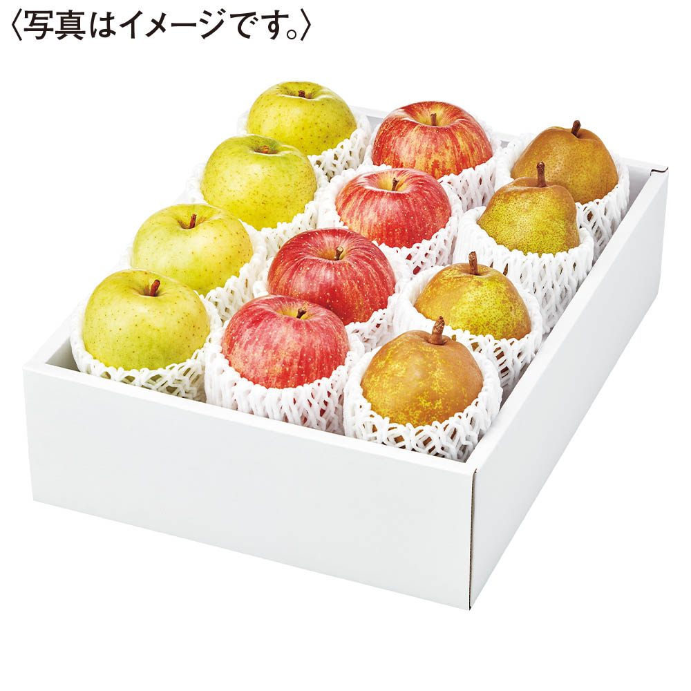 旬の果物詰合せ