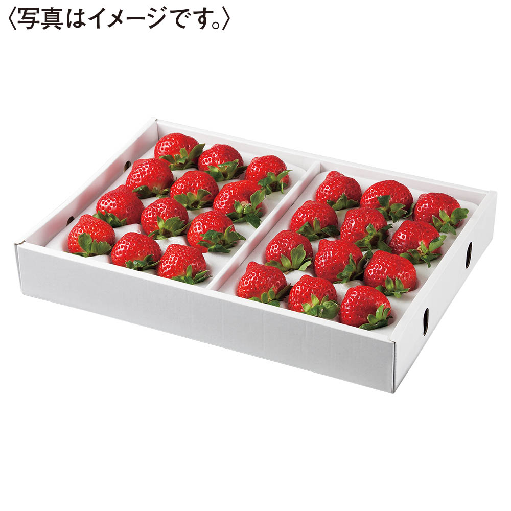福岡県産<JAふくおか八女>博多あまおう700g