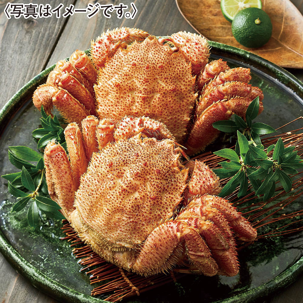 ごっつお便JNコース