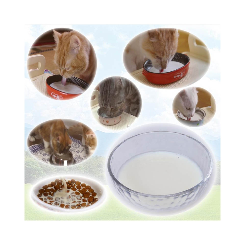 キャティーマン ねこちゃんの国産牛乳200ML