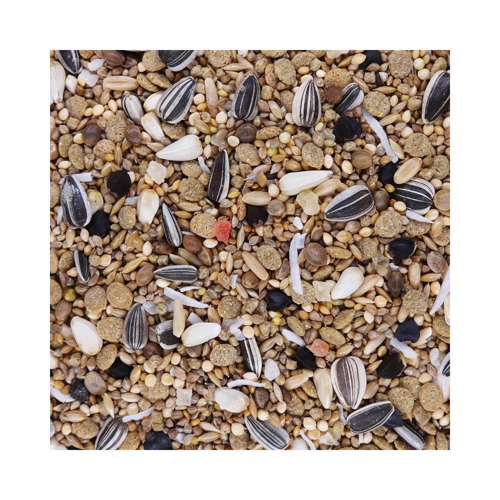 PRO ADVANCE オカメインコ650g