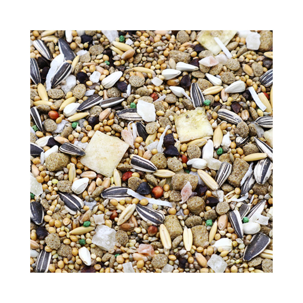 PRO ADVANCE ウロコインコ500g