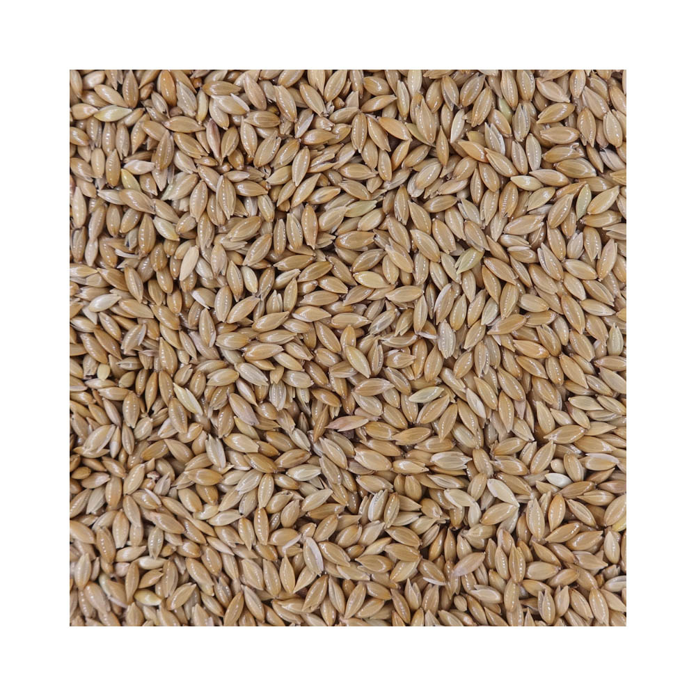 エクセル カナリアシード280g